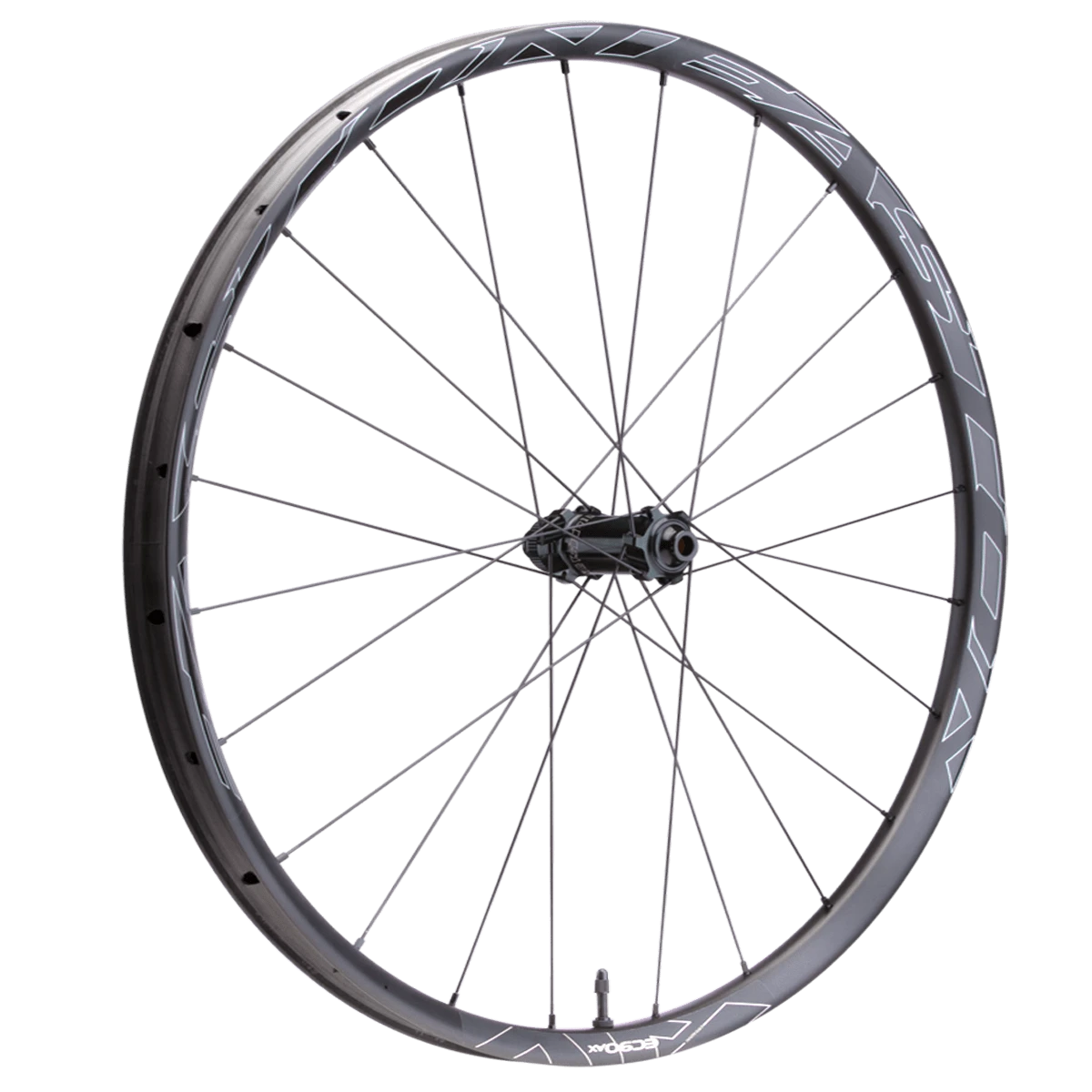 EASTON Wiel EA90 AX Disc Voor 700c - 12x100 3 EASTON Wiel EA90 AX Disc Voor 700c - 12x100