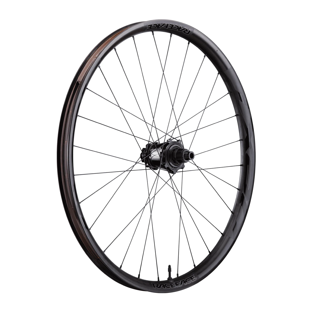 Race Face Next R Achterwiel 29 Inch 12x142mm 3 Race Face Next R Achterwiel 29 Inch 12x142mm